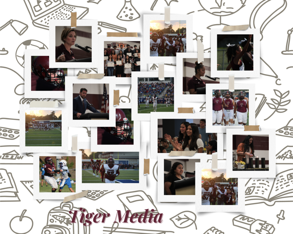 New Pictures Uploaded to Tiger Media Smug Mug page
