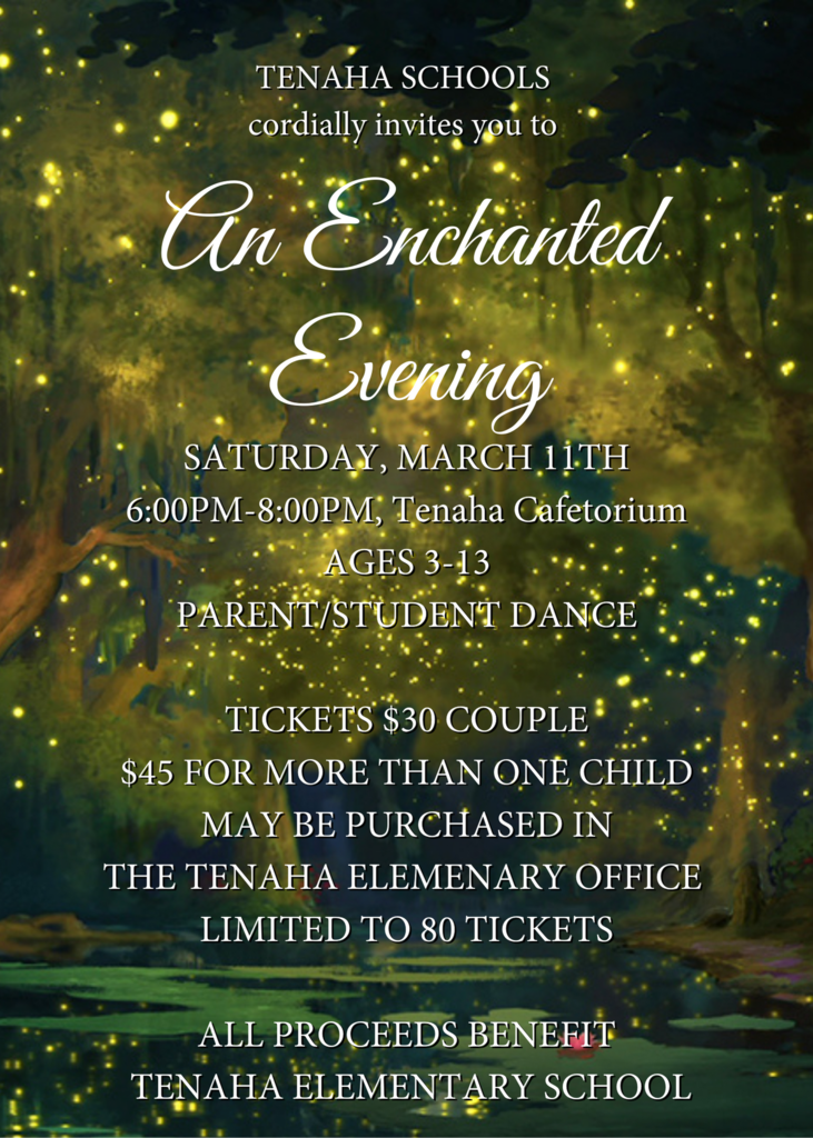 An Enchanted Evening Gala Tenaha Elementary School 