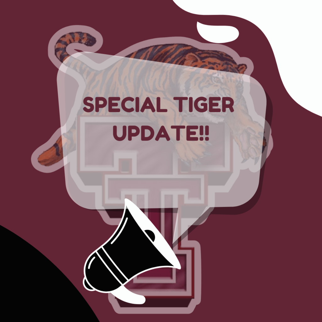 Special Tiger Update!